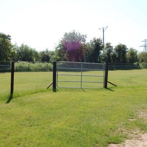 Field 1 - An Cluasóg (The Corner Field)