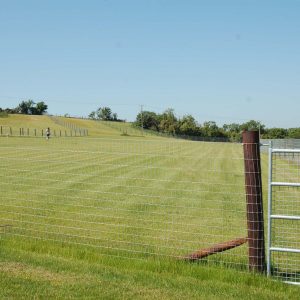 Field 3 - An Fál (The Enclosure)