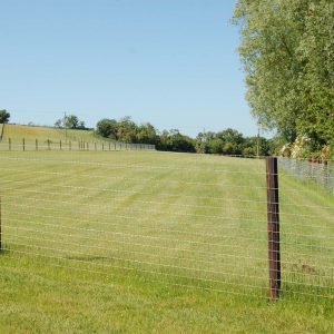 Field 4 - An Féarghort ( The Grass Field)